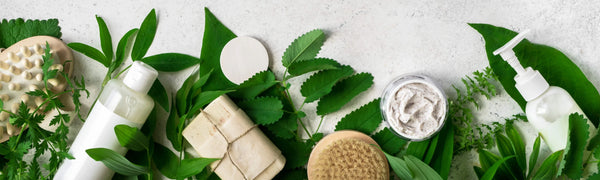 Plant Upgrades Pave the Way for a Greener Future