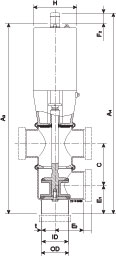 I-SSV DN50 22 STRONG SPRI